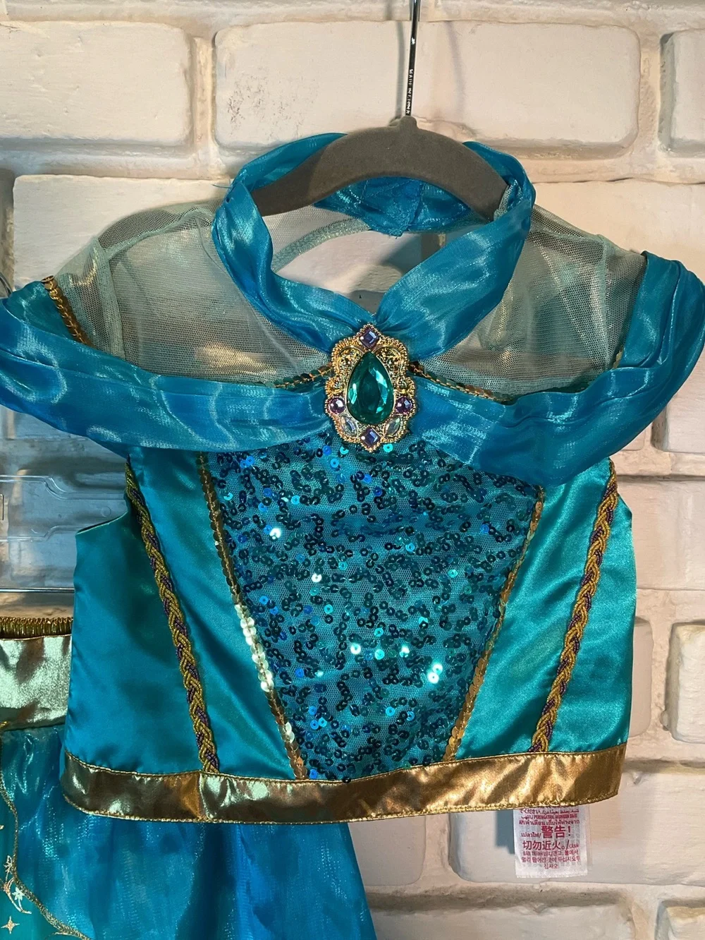 Disney fun costume